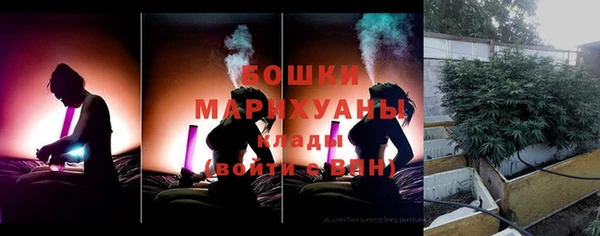 гидра Верхний Тагил