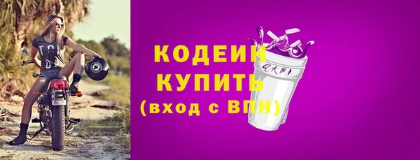 шишки Приозерск