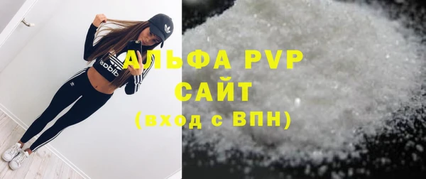 шишки Приозерск