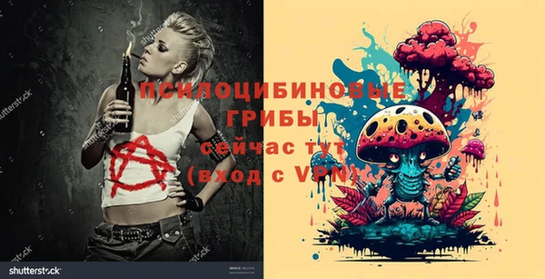apvp Пролетарск