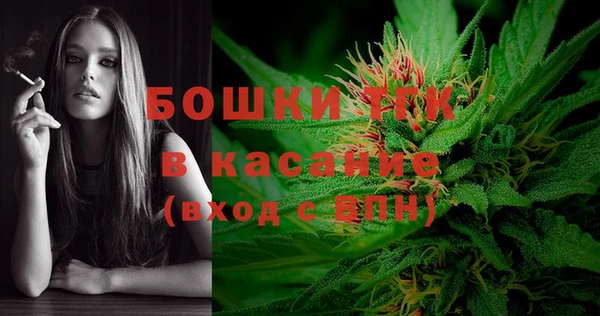 шишки Приозерск
