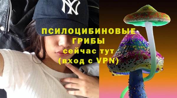 apvp Пролетарск