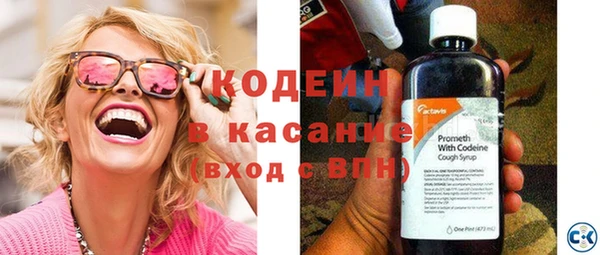 шишки Приозерск