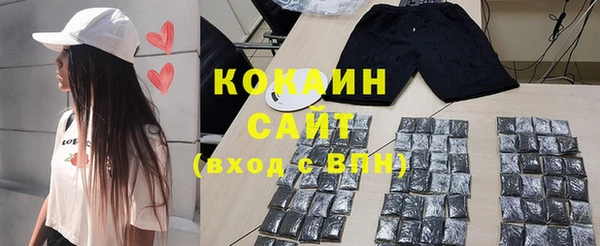 шишки Приозерск