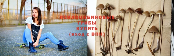 тгк Лагань