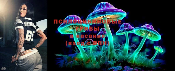 шишки Приозерск