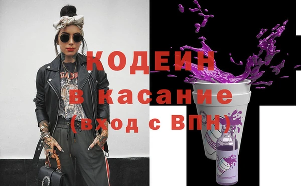 шишки Приозерск