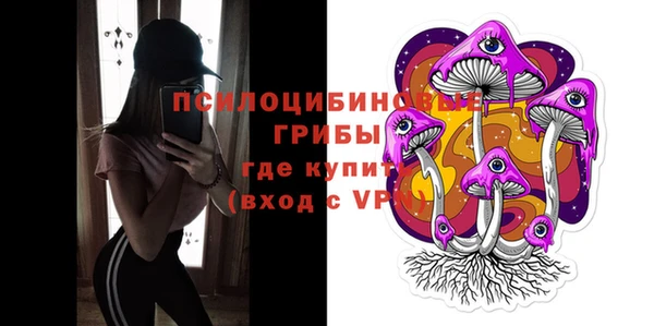 шишки Приозерск