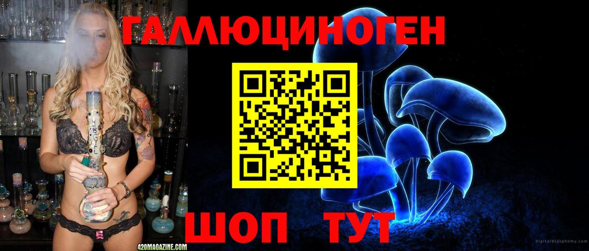 Псилоцибиновые грибы прущие грибы  Вход с VPN  что такое   Сердобск  Галлюциногенные грибы Cubensis 